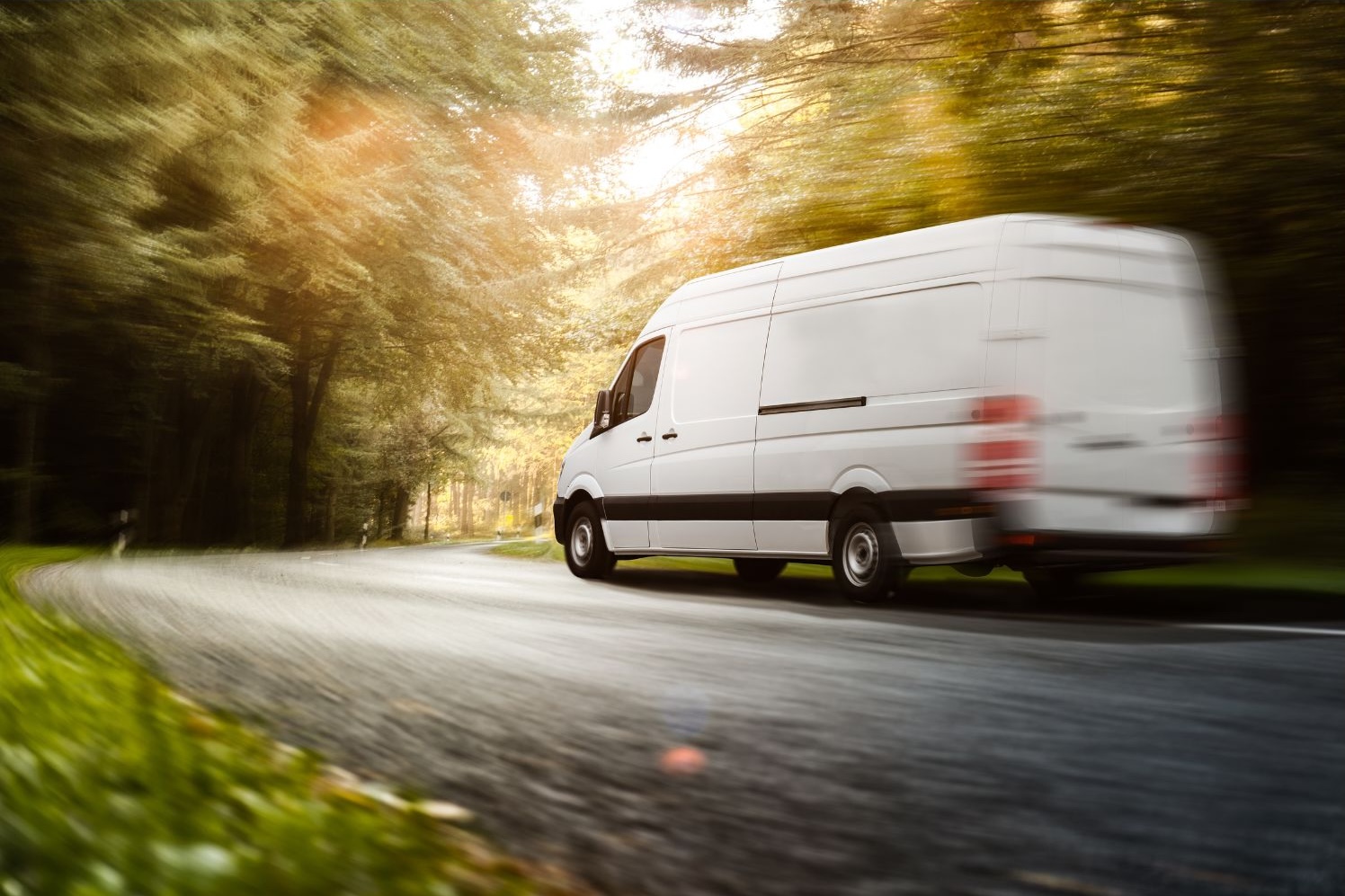 camionette en route dans la forêt